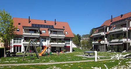 MFH Nussbaum