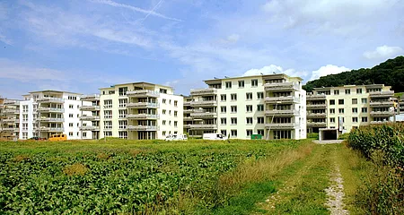 MFH, Engelwiesen