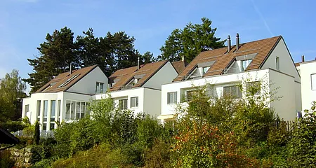 EFH, Sunneguet