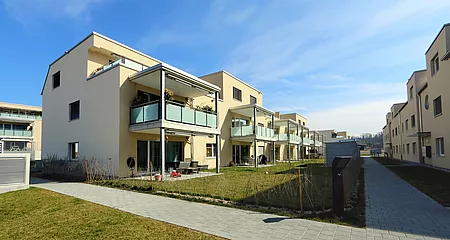 Sonnenhut 2